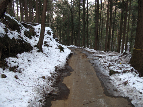 20180209hike (276)